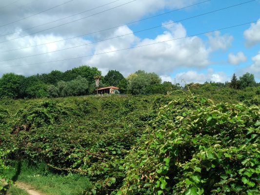 Casa do Sobreiro - Turismo Rural
