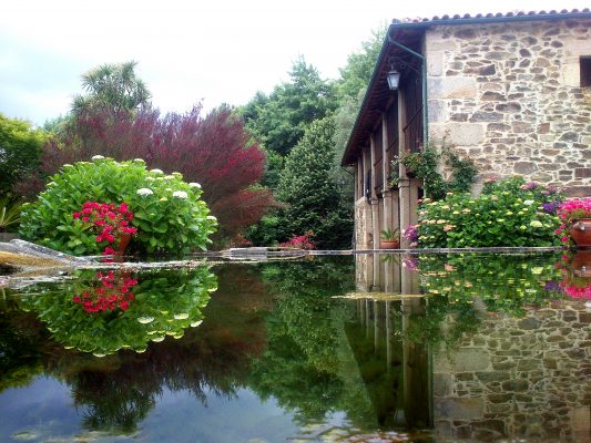 Sobreiro's House - Rural Tourism